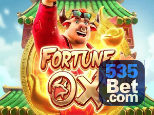 535BET login — painel de entrada no app oficial